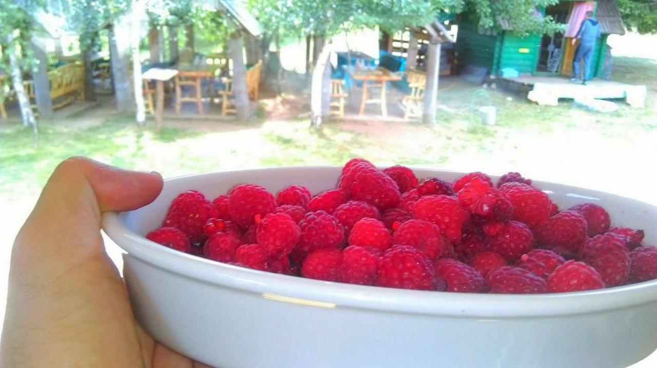 Etno Selo Montenegro Ξενοδοχείο Plužine Εξωτερικό φωτογραφία